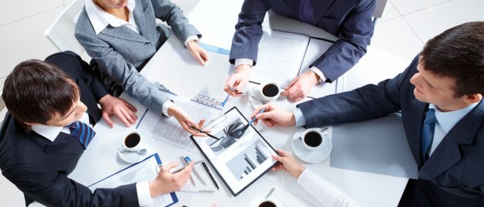 Software Consulting